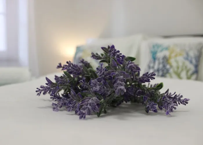 Apartmán Love Apartment Rovinj Rovinj